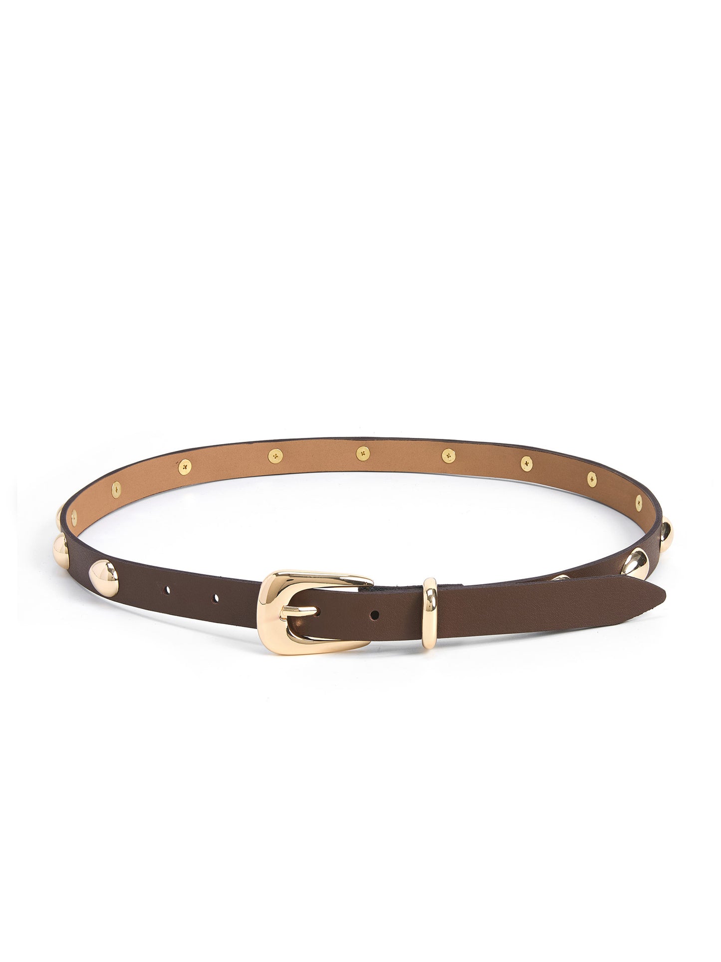 Teardrop Studded Belt in Coffee