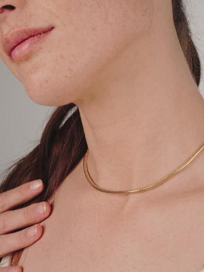 Classic Snake Chain Necklace